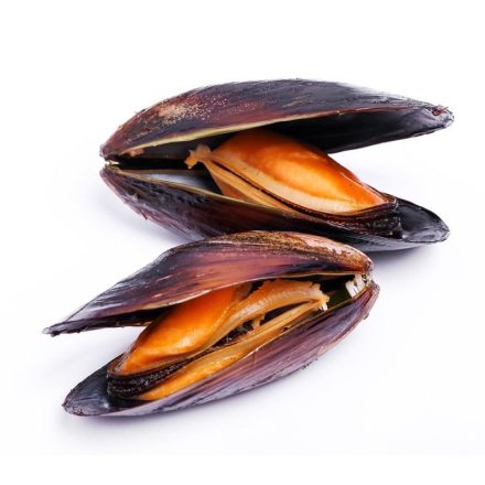 Mejillones gallegos frescos