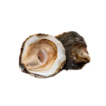 Comprar ostras gallegas