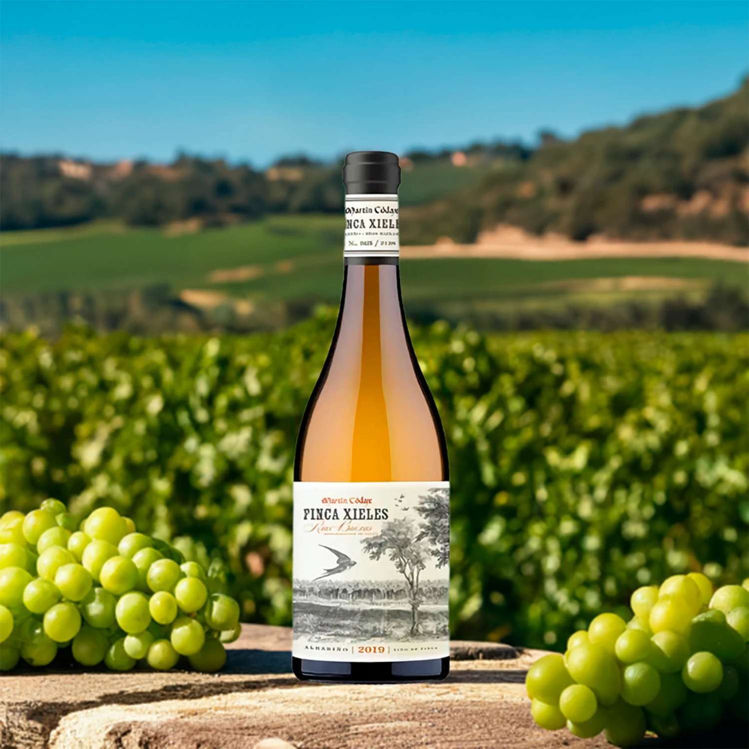 albariño Finca Xieles