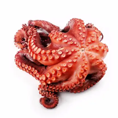 Pulpo cocido online listo para disfrutar desde Galicia