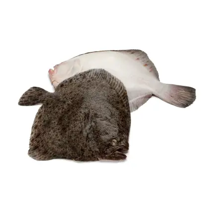 comprar rodaballo gallego online