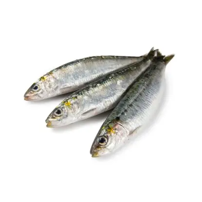 sardinas gallegas