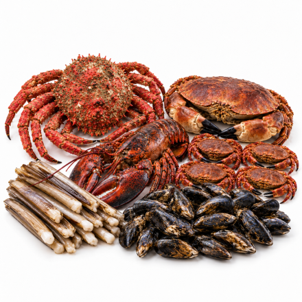 Mariscada gallega para 4 y 5 personas, centolla, buey de mar, bogavante, nécoras, navajas y mejillón en fondo blanco con los productos juntos.