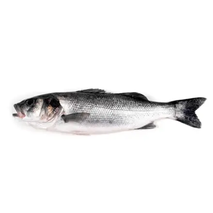 comprar lubina online