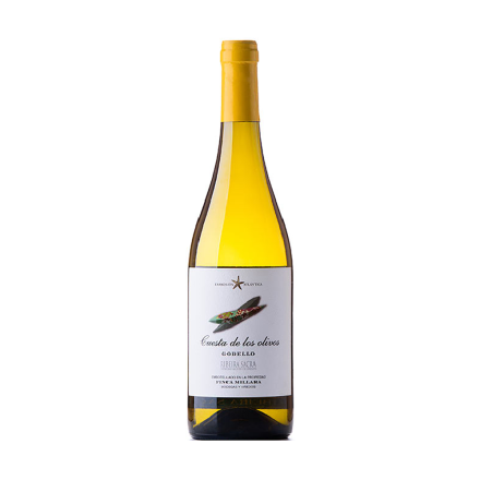 Vino cuesta de los olivos godello