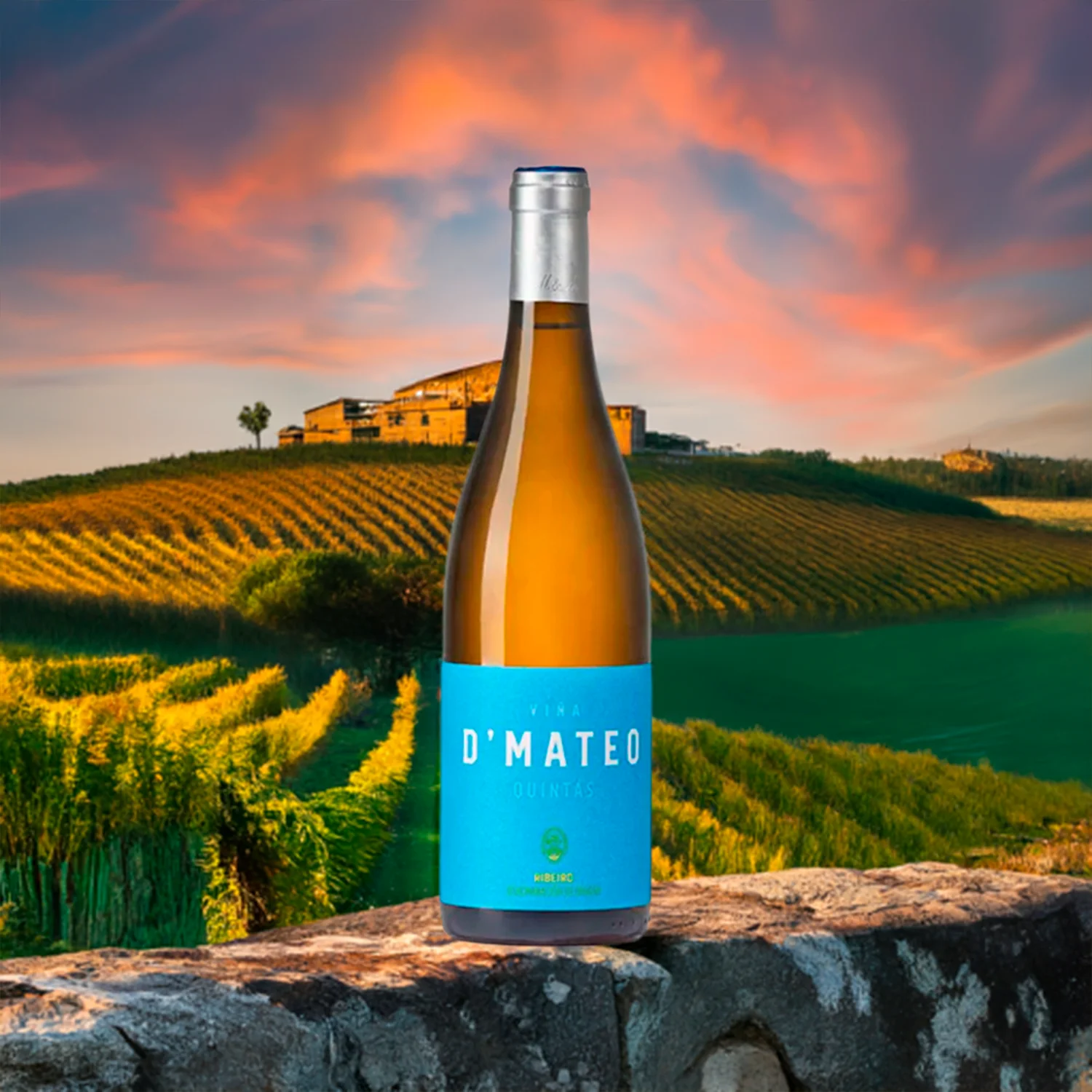 vino D' Mateo Quintans online
