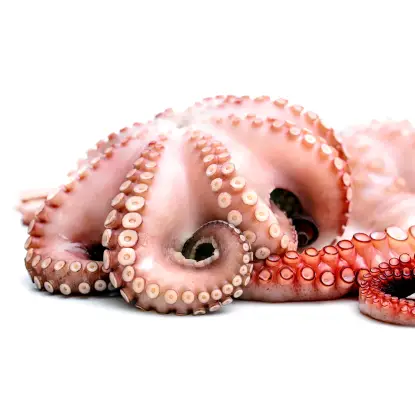 pulpo fresco gallego