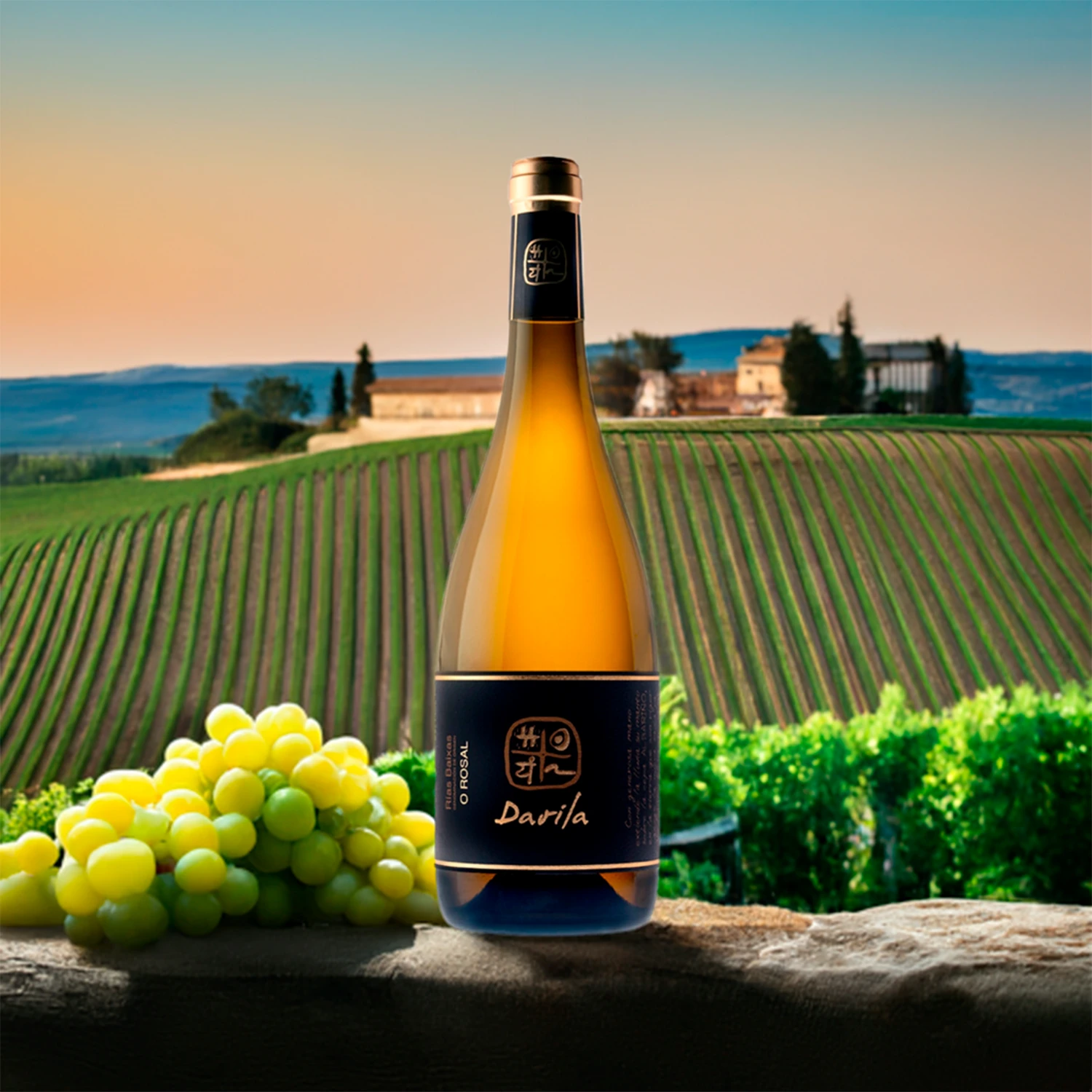 Davila O Rosal Albariño