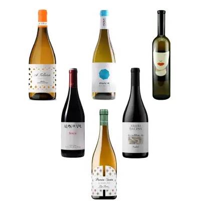 Mejores Vinos Gallegos