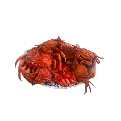 Mariscada gallega de Vigo en fondo blanco