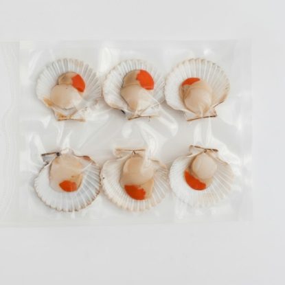 Zamburiña volandeira