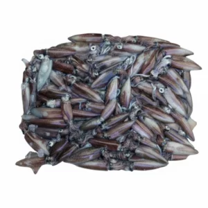 Calamar de las Rías Gallegas Comerciogallego.es