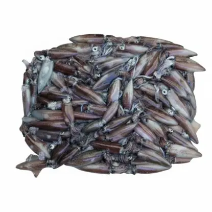 Calamar de las Rías Gallegas Comerciogallego.es