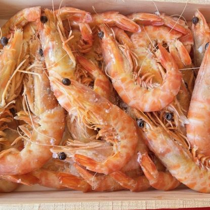 Langostino Cocido y Congelado