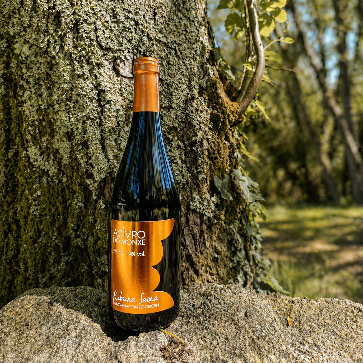 Una botella de vino tinto Acivro Do Monxe de la D.O. Ribeira Sacra, con su distintiva etiqueta y cápsula de color naranja metalizado, apoyada sobre una roca frente al tronco de un árbol en un entorno boscoso soleado.
