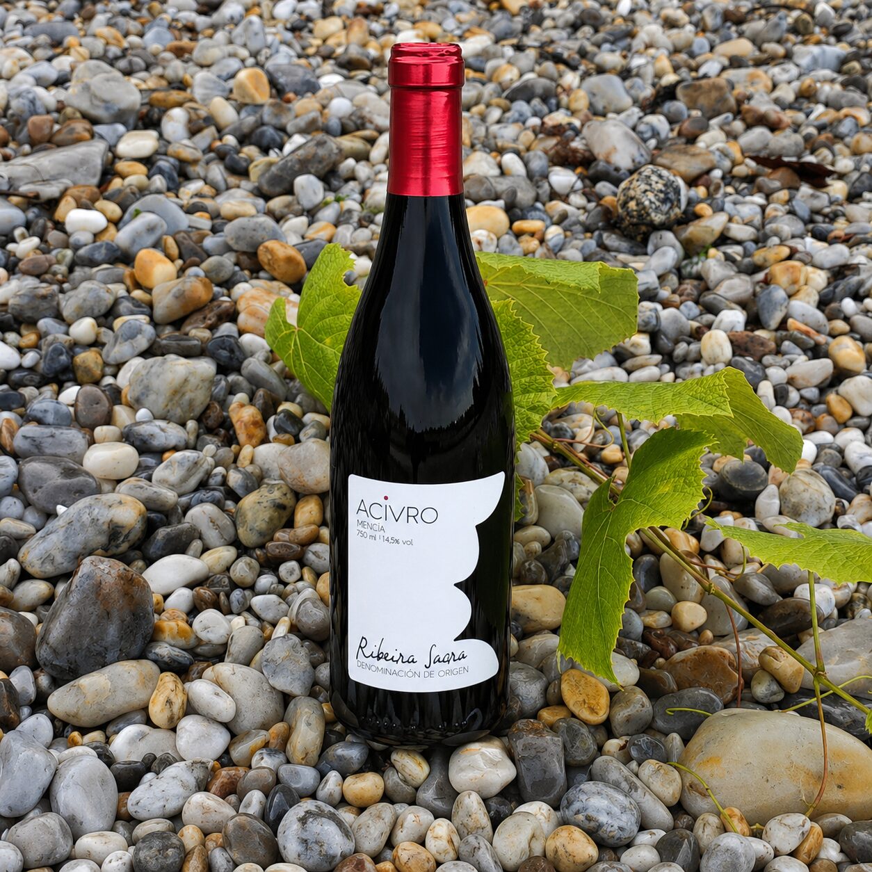 Una botella de vino tinto Acivro Mencía de la D.O. Ribeira Sacra, con su característica etiqueta blanca y cápsula roja, reposando sobre un lecho de piedras de río naturales junto a unas hojas de vid verdes.
