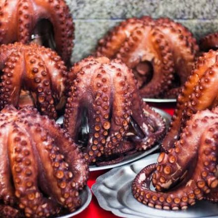 Pulpo congelado atantico norte
